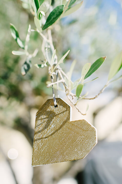 Coeur en bois dans un olivier