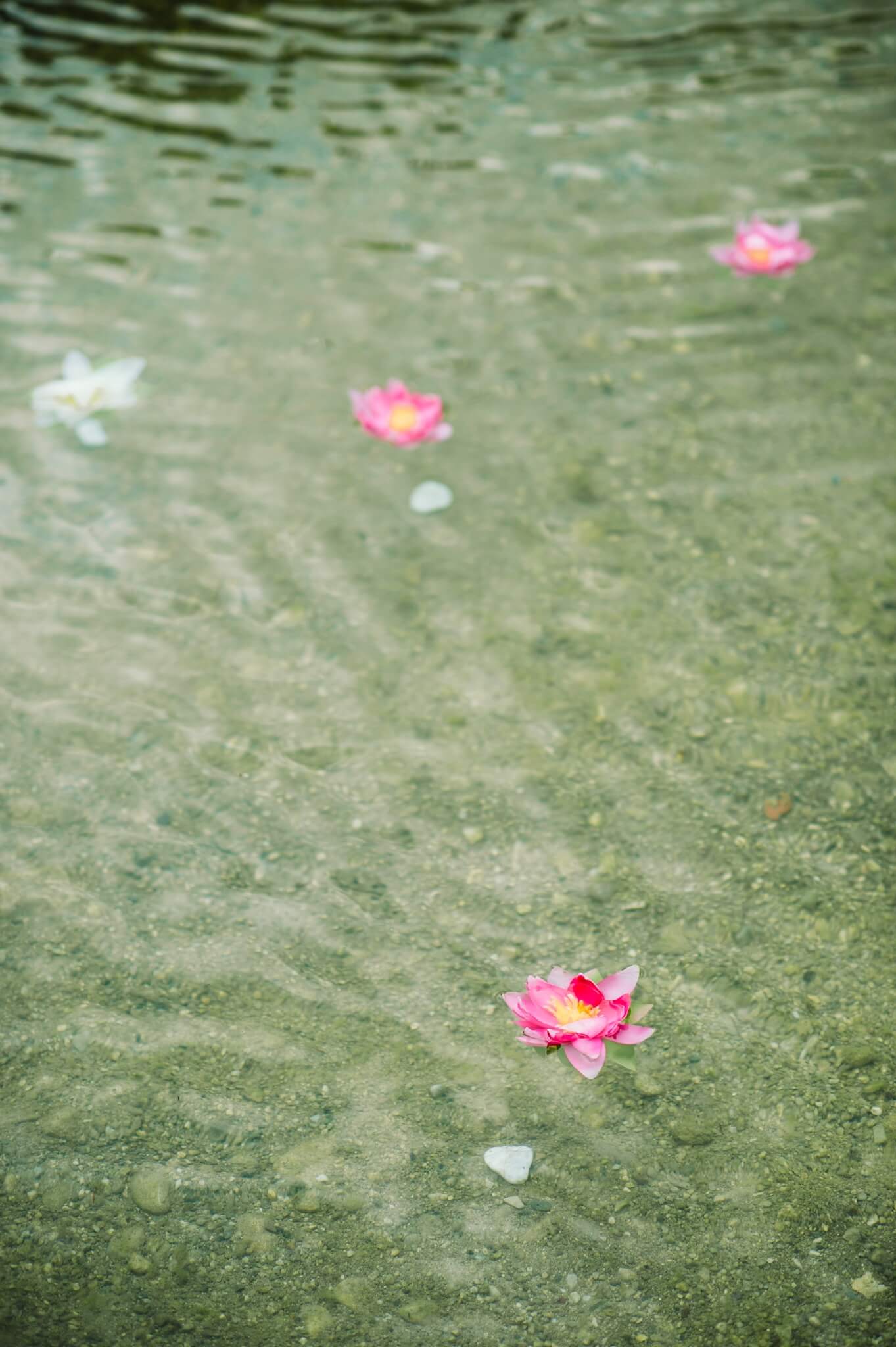 Téléchargez une relaxation offerte La Source Zen